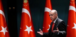 erdoğan yangın baskı orman