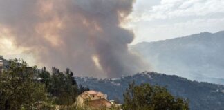 cezayir orman yangın asker sivil öldü