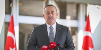çavuşoğlu, orman yangınları, açıklama, yardım