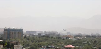 hollanda afganistan kabil uçak taliban