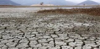 iklim kriz türkiye kuraklık su yağış