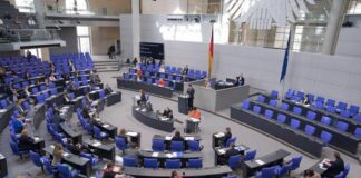 almanya seçim türk kökenli milletvekili