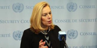 hollanda dışişleri bakanı istifa afganistan