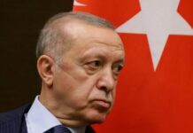 erdoğan kılıçdaroğlu memurlar mafyatik düzen