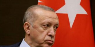 erdoğan kılıçdaroğlu memurlar mafyatik düzen