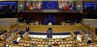 ab avrupa parlamento konseyi mahkeme