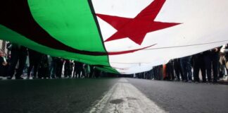 cezayir mali askeri yardım