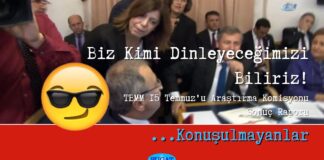 15 Temmuz, TBMM araştırma komisyonu, darbe