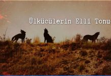 Ülkücüler, ülkü ocakları, MHP, Devlet Bahçeli, Türkeş, Alperen, Sinan Ateş, Bozkurt